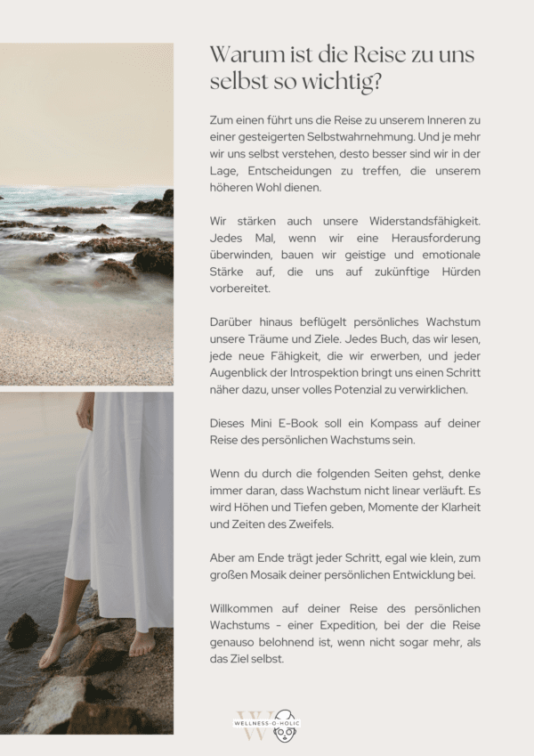Persönlichkeitswntwicklung Ebook